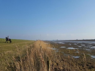 Maison de vacances Simonshaven Environnement 15