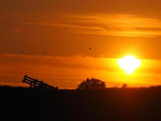 Vakantiehuis Simonshaven Omgeving 16