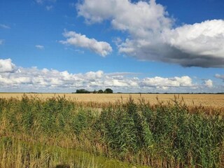 Vakantiehuis Simonshaven Omgeving 32
