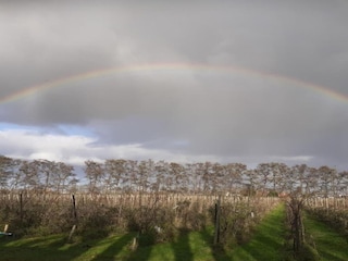 Ferienhaus Simonshaven Umgebung 27