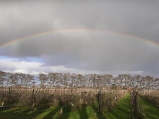 Vakantiehuis Simonshaven Omgeving 22