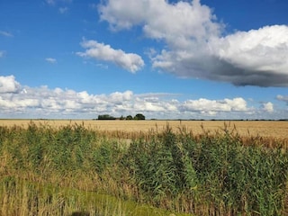 Holiday house Simonshaven Environment 23