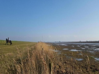 Ferienhaus Simonshaven Umgebung 13