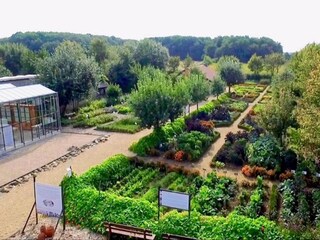 Cottage Neer Environment 30