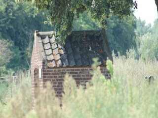 Type de propriété : Chalet Neer Environnement 31