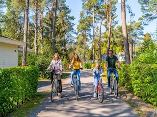 Holiday park Beekbergen  15
