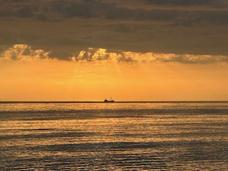 Ferienwohnung Julianadorp Umgebung 27