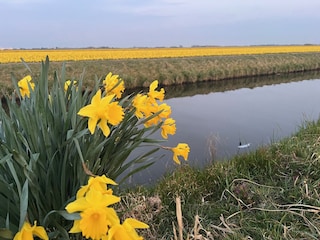 Ferienwohnung Julianadorp Umgebung 29