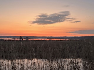 Ferienwohnung Julianadorp Umgebung 30