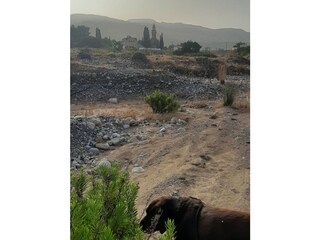 Casa de vacaciones Archangelos (Rhodos) Entorno 23