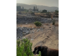 Vakantiehuis Archangelos (Rhodos) Omgeving 23