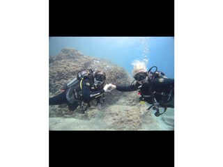 Diving at the St. Pauls bay