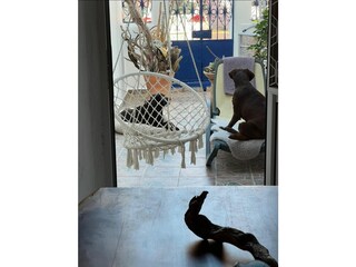 Holiday house Archangelos (Rhodos) Features 13