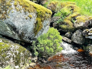 Ferienhaus Feda Außenaufnahme 10