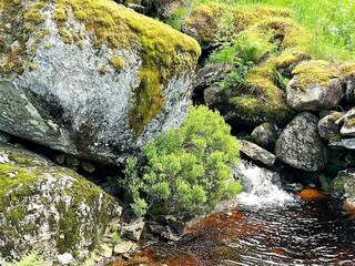 Ferienhaus Feda Außenaufnahme 15