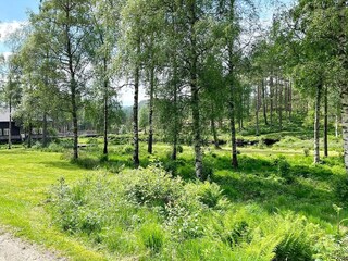 Vakantiehuis Feda Buitenaudio-opname 11