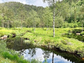 Vakantiehuis Feda  22