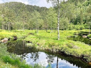 Vakantiehuis Feda  29