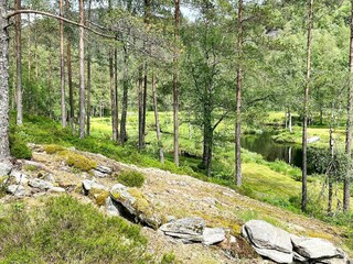 Vakantiehuis Feda  25