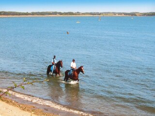 Casa per le vacanze Pénestin Ambiente 19