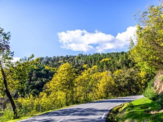 Appartamento Mandelieu-la-Napoule Ambiente 20