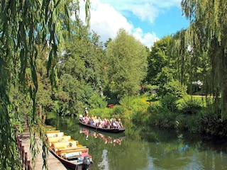 Ferienpark Lübben Umgebung 10