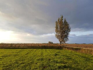 Vakantiehuis Simonshaven Omgeving 9