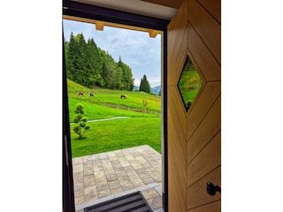 Blick auf die Pferde