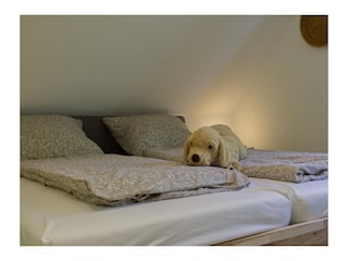 Ferienwohnung Burg auf Fehmarn  30