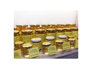 Casa per le vacanze Pontedera Registrazione all'aperto 12