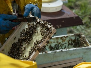 Casa per le vacanze Pontedera Registrazione all'aperto 13