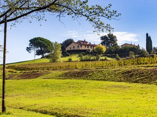 Casa de vacaciones Montopoli in Val d'Arno Grabación al aire libre 10