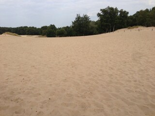Boberger Dunes
