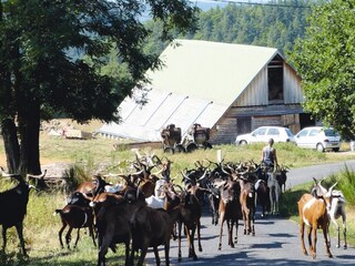 Apartamento Saint-Vincent  19