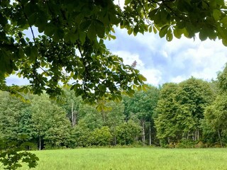 Holiday house Lönashult  6