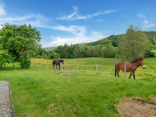 Casa per le vacanze Vielsalm Registrazione all'aperto 4
