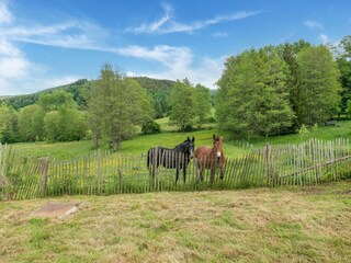 Vakantiehuis Vielsalm Omgeving 36