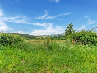 Vakantiehuis Vielsalm Omgeving 33