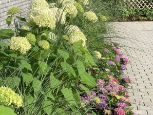 Holiday apartment triLogie-Mora