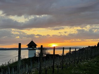 Appartamento per vacanze Stetten (Bodensee) Ambiente 32