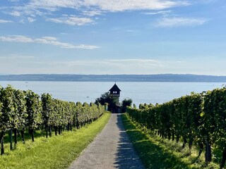 Appartamento per vacanze Stetten (Bodensee) Ambiente 33