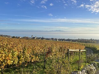 Appartamento per vacanze Stetten (Bodensee) Ambiente 38