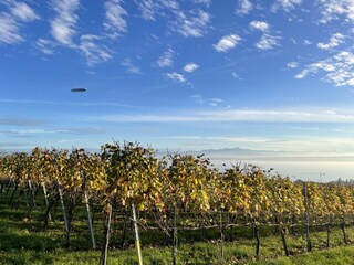 Appartamento per vacanze Stetten (Bodensee) Ambiente 39