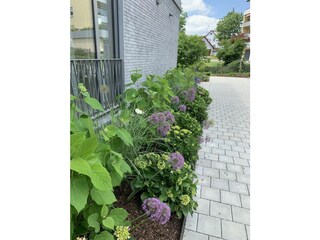 Apartamento de vacaciones Stetten (Bodensee) Grabación al aire libre 3