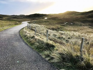 Die wunderschönen Dünen