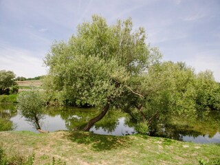 Casa per le vacanze Karlovac  22