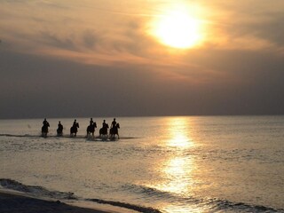 Parc de vacances Sasino Environnement 21