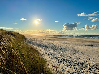 Vakantiepark Sasino Omgeving 21