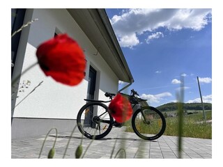 Ferienhaus Diemelsee Außenaufnahme 12