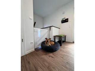 Ferienhaus Diemelsee Außenaufnahme 25